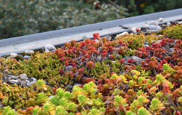 the cost of St Giles green roof installation